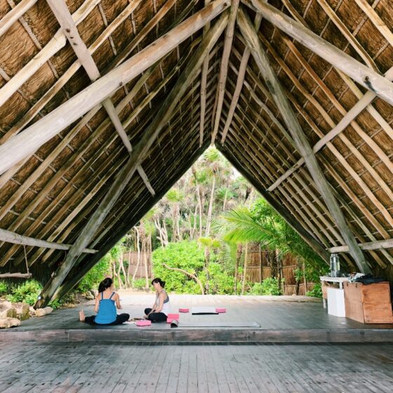 墨西哥土倫 瑜珈靜修