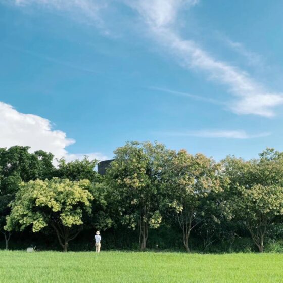 美國沉浸式森林療癒