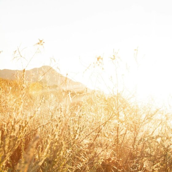 21-days-to-jump-start-your-intuition