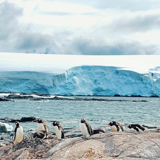 Antarctica Expedition