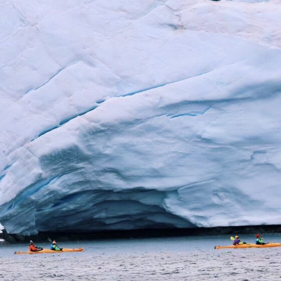 antarctica-expedition-1