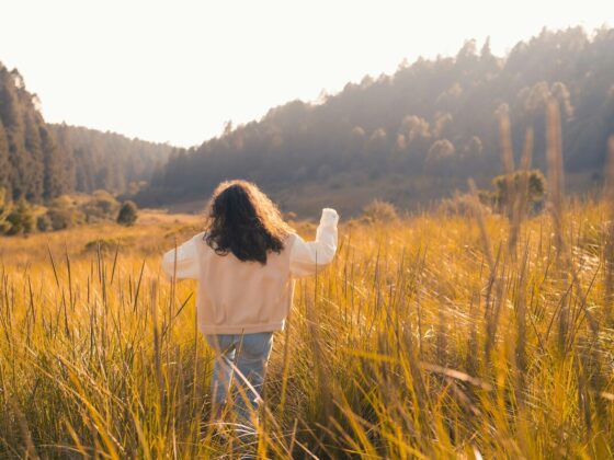 The Cure for Burnout: How to Find Balance and Reclaim Your Life