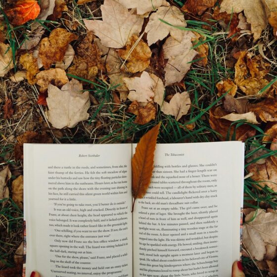 2026 Mindfulness & Personal Growth Reading List