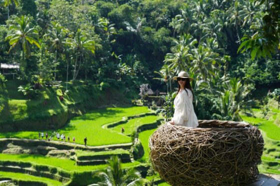 bali-hotel-guide