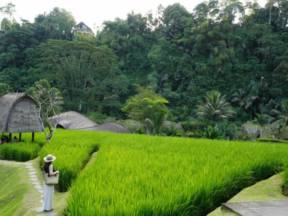 Mandapa Ritz-Carlton Reserve Bali