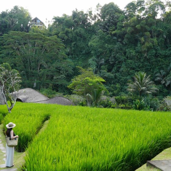 Mandapa Ritz-Carlton Reserve Bali